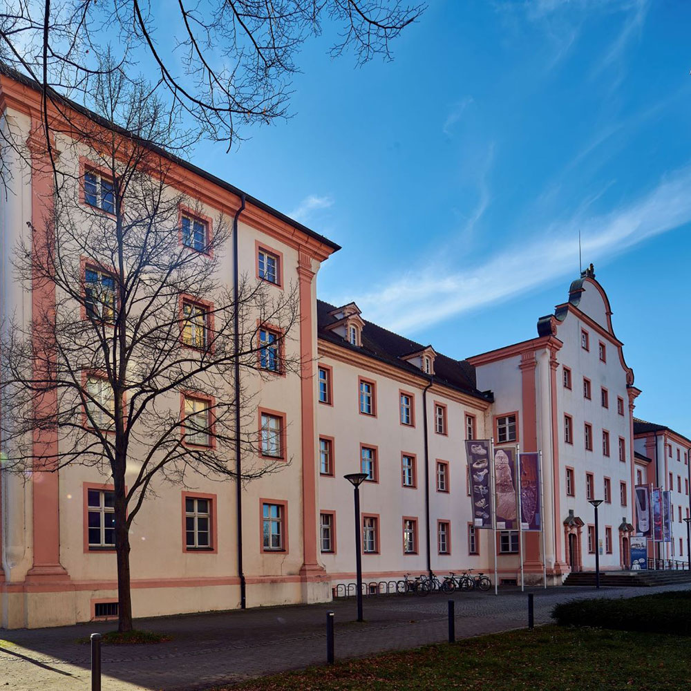 Archäologisches Landesmuseum